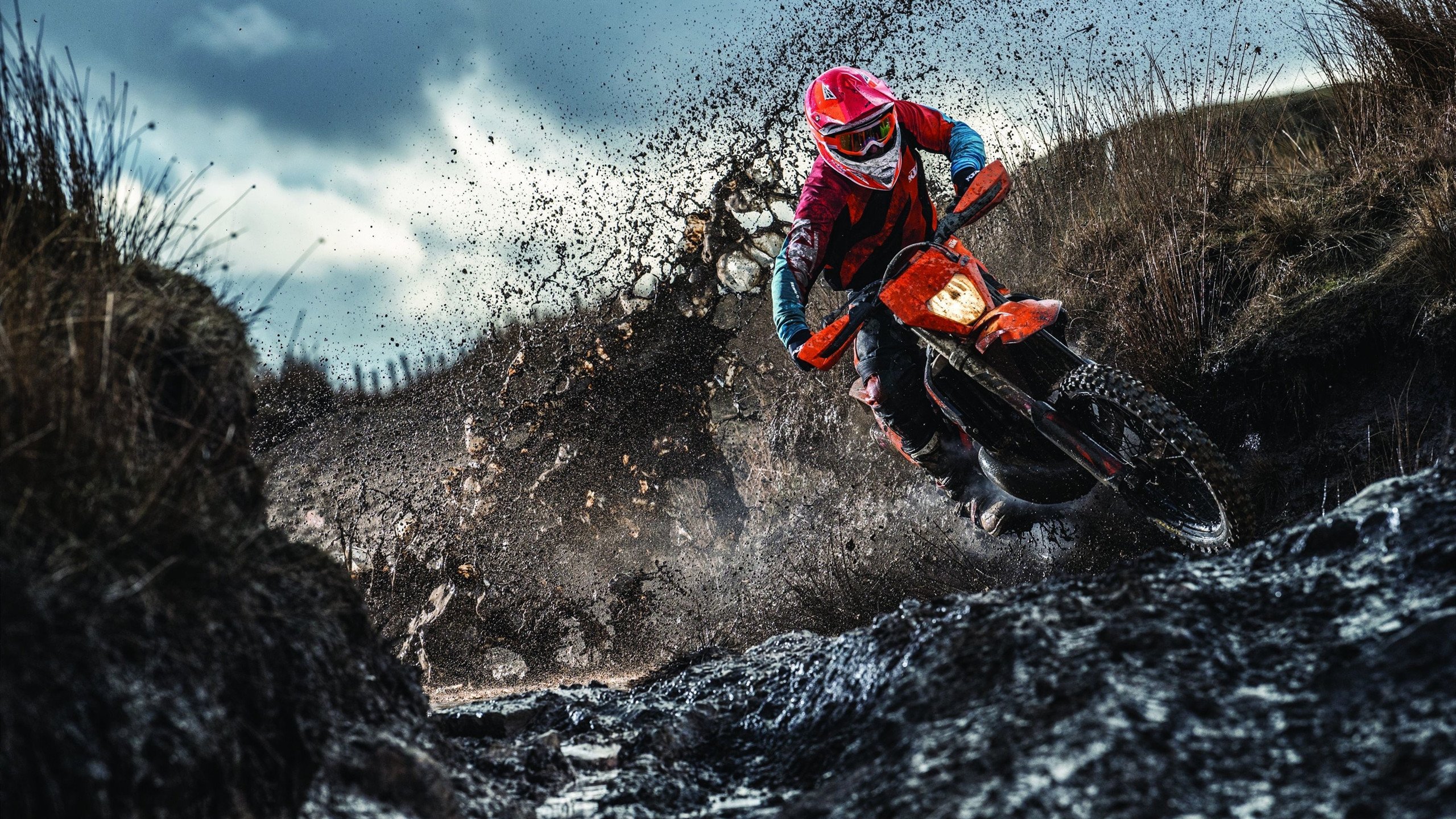 FaZe Clan参与LOL公益联动活动，faze战队