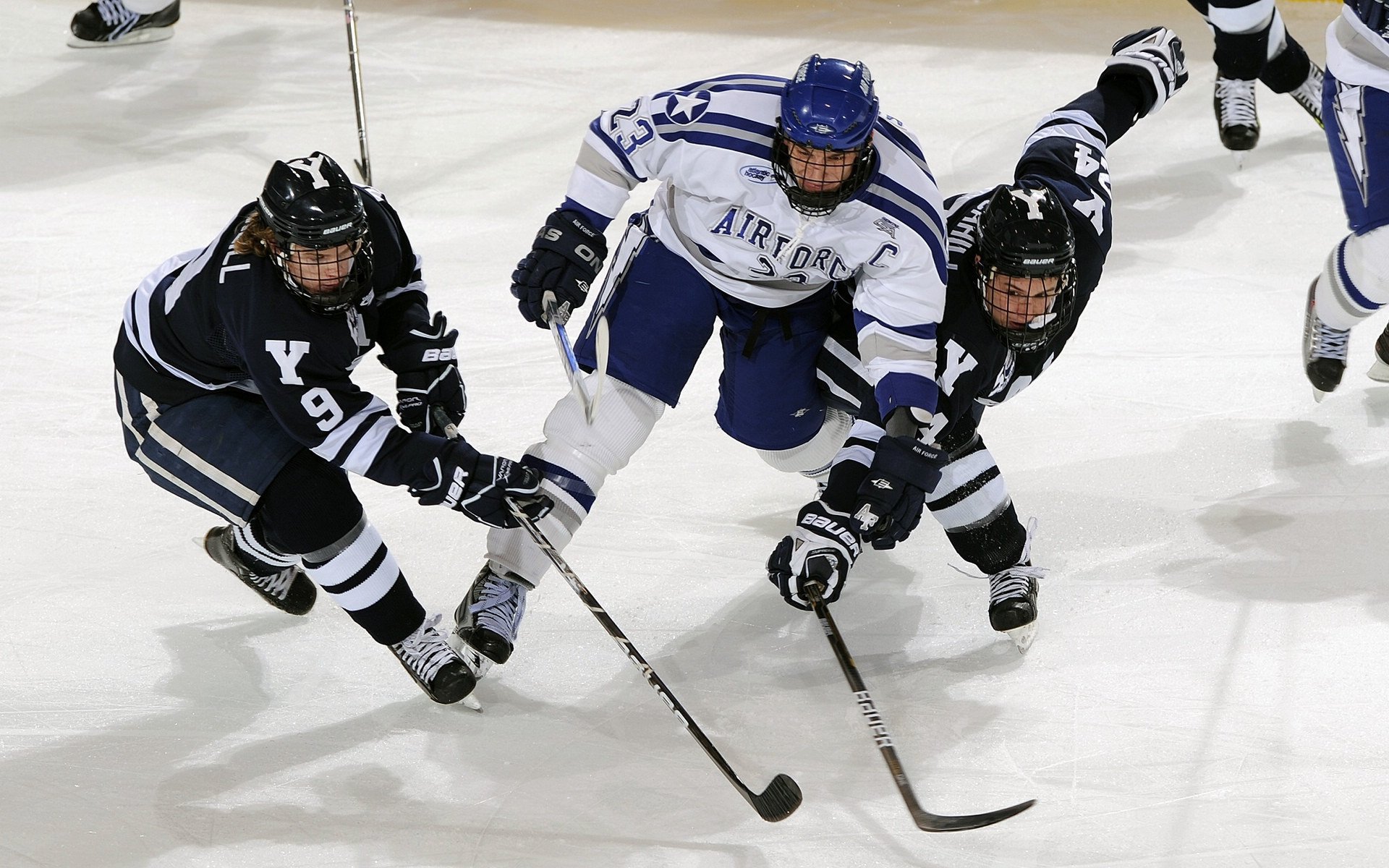 Gen.G战队粉丝互动持续升温，gen.g战队pio