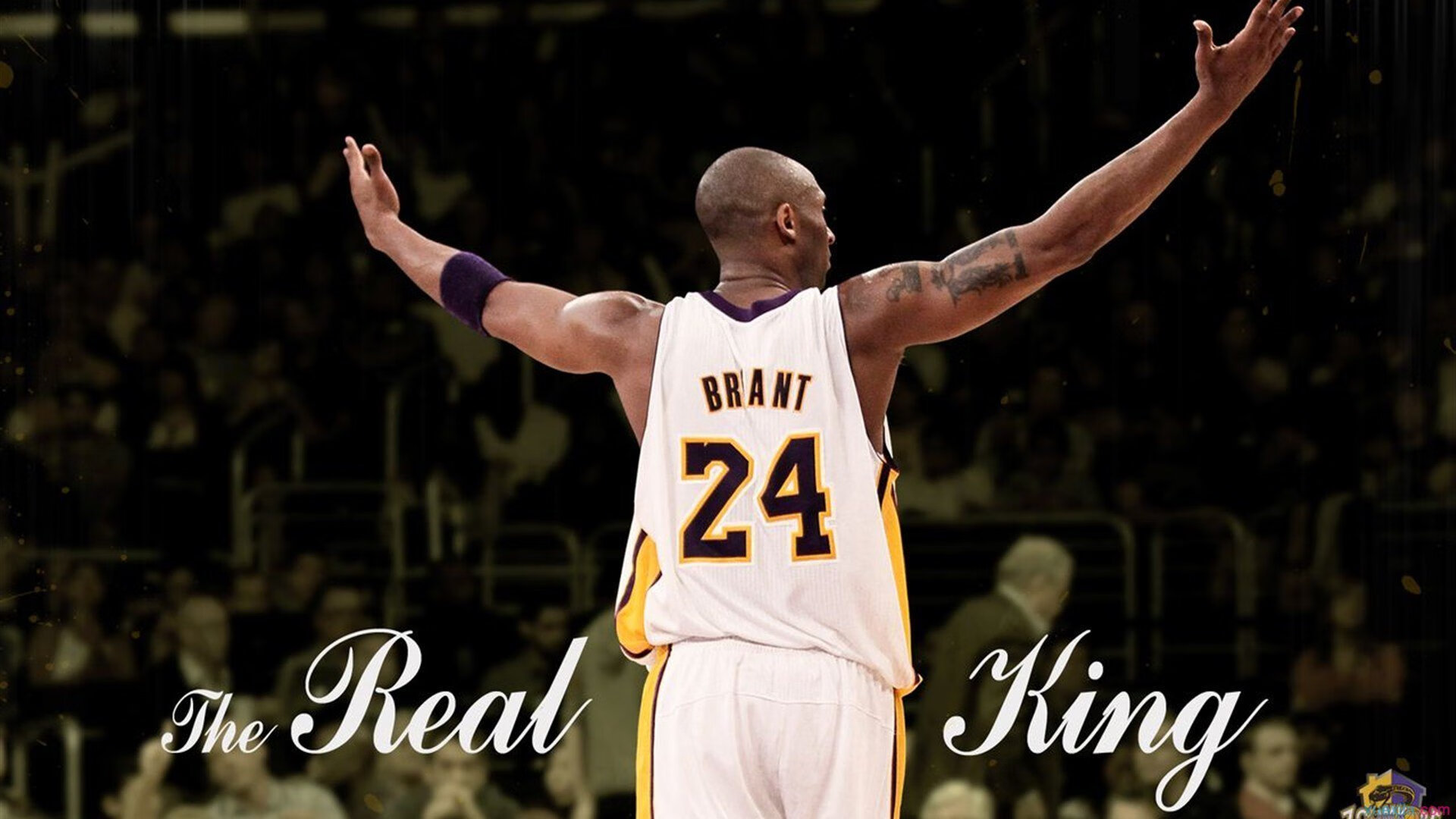 线上投票：最想在赛场看的一幕，线上投票规则