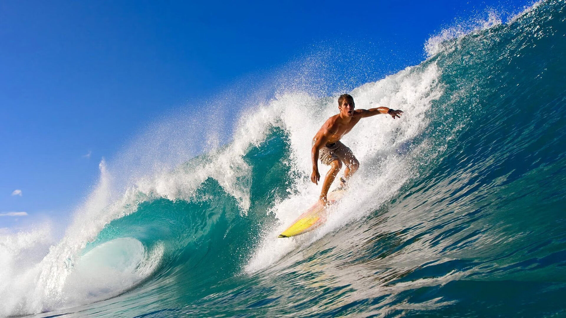 逆境中的“铁腕将军”：不屈不挠的领军人物